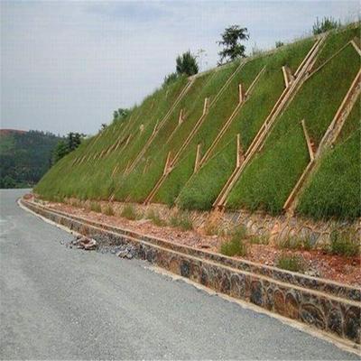 边坡绿化工程 公路工程建筑的生态屏障与美学融合